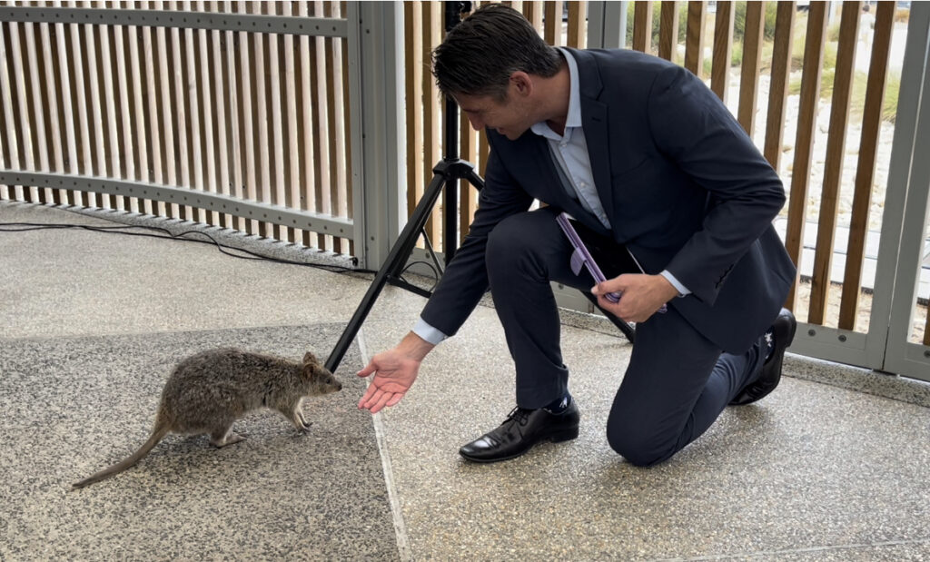 UNIQUE WEDDING AT ROTTNEST ISLAND
DAMIAN MARTIN AND A SUPRISE QUOKKA GUEST AT PINKYS BEACH RESORT